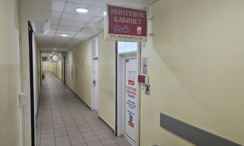 Силвър 1